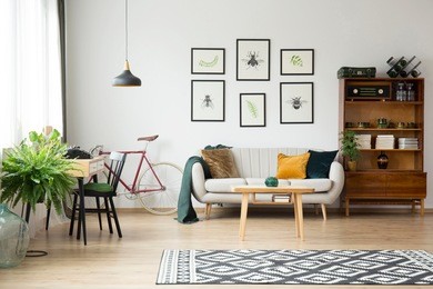 patterned rug and fern in bright vintage living room interior with sideboard and posters above sofa