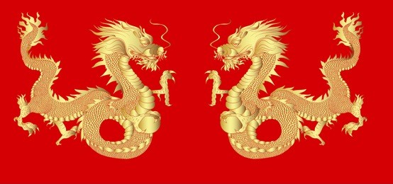 golden dragon on red background for chinese new year.gold chinese dragon vector. gold line art king dragon tattoo.