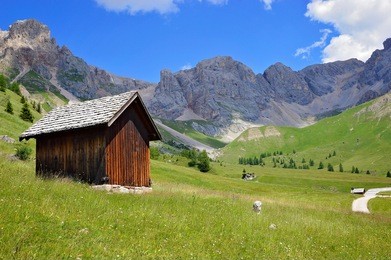 wooden house, mountains, forest, sky and grass