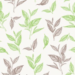 tea seamless pattern. hand drawn tea leaf vector illustration. vintage packaging design. engraved style.
