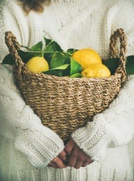 woman gardener in white woolen sweater holding basket of freshly picked lemons. local seasonal organic market produce concept