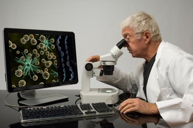 senior genetic engineer using a microscope