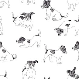 jack russell terrier pattern