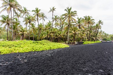 punaluu (punalu'u) black sand beach of big island,  hawaii