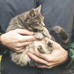 man holding young domestic cat