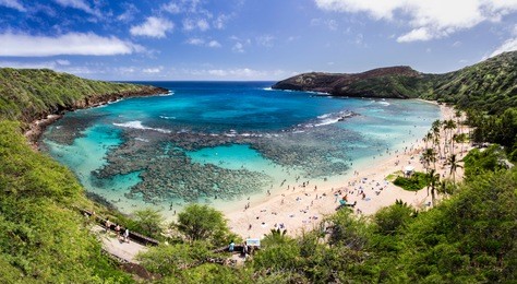 snorkelling at the coral reef of hanauma bay, a former volcanic crater, now a national reserve