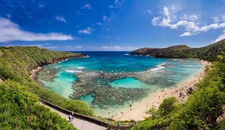 snorkelling at the coral reef of hanauma bay, a former volcanic crater, now a national reserve