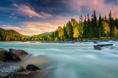 river flowing out of the kanas lake at autumn, xinjiang, china, the tree color is changed to yellow, sky beautiful on the background.