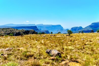 highveld of the blyde river canyon along the panorama route in mpumalanga province of south africa