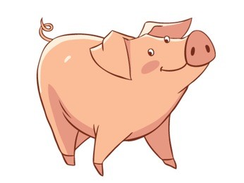 pig