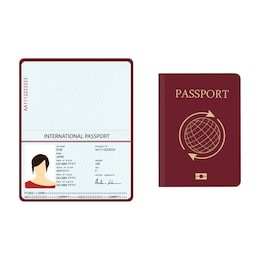 vector illustration passport with biometric data. identification document.  international passport template with sample personal data page