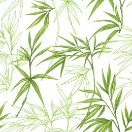 seamless pattern, background with bamboo  on white background. hand drawn colorful vector illustration without transparent and gradients.
