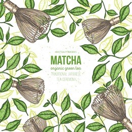 matcha tea vector illustration. hand drawn design template. poster with tea leaf and matcha whisk. japanese food. 