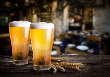 glasses of light beer with barley on a pub background