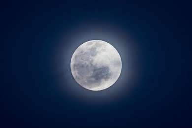 a horizontal, colour image of the moon at its fullest in a starless, deep blue sky in the greater kruger transfrontier park, south africa.