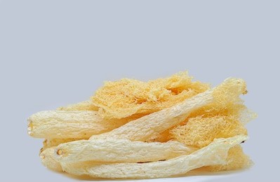 tropical stinkhorn mushroom , dictyophora indusiata. (with free space for text)  