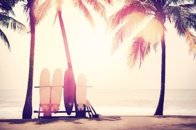 surfboard and palm tree on beach double exposure with colorful bokeh sun light texture abstract background. summer vacation and sport extreme concept. vintage tone filter color style.