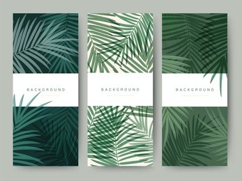 branding packaging palm coconut bamboo tree leaf nature background, logo banner voucher, spring summer tropical, vector illustration
