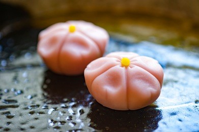 beautiful japanese sweets