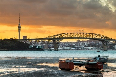 auckland harbour at low tidy with a sunrise sky.