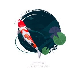 koi carp japanese red and white fish vector illustration. lotus leaves in pond background