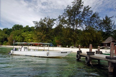 holidays in manukan island