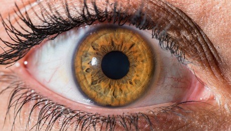 hazel eye macro