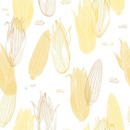 corn graphic yellow color seamless pattern sketch illustration vector