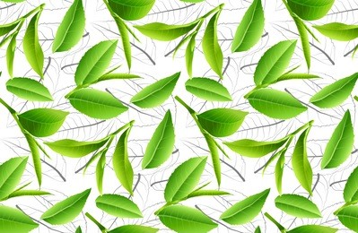 green tea leaves vector nature background. green tea seamless background with leaf natural illustration.