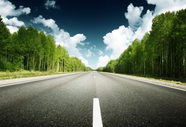 road in forest