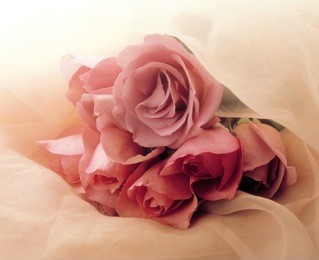 bouquet of roses on pink white background. copy space for text. valentine's day.