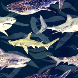 sharks variety: blue, tiger, whale and hammerhead, hand painted watercolor illustration, seamless pattern on dark blue, green ocean surface with waves background