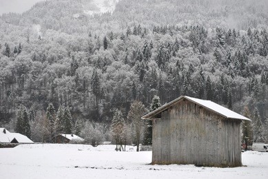 small wooden house and a beautiful winter forest france village samoens