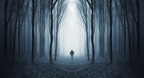 man walking through a fairytale forest