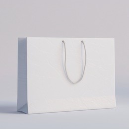 luxury white paper bag on a white background.