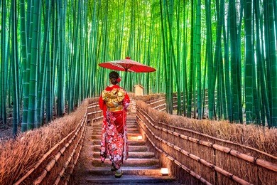 bamboo forest. asian woman wearing japanese traditional kimono at bamboo forest in kyoto, japan.