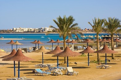 reflection of palms on a beach in egypt