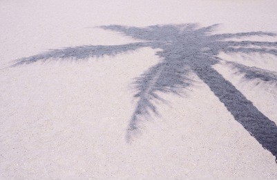 shadow of coconut palm tree on the white sand beach