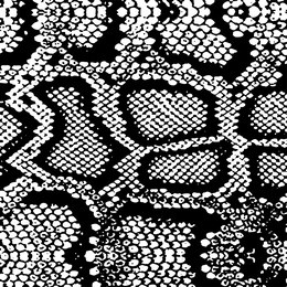 snake skin with the pattern