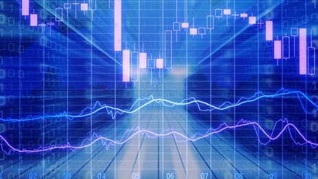 white network hologram