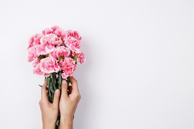 woman hand hold pink carnation on white background. flat lay, top view minimal festive spring flower background.