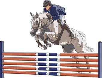 a man on a horse is jumping over an obstacle.