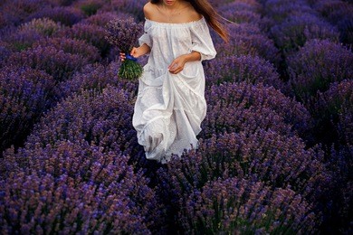 in the lavender field