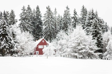 beauty winter landscape in harz germany with a red house