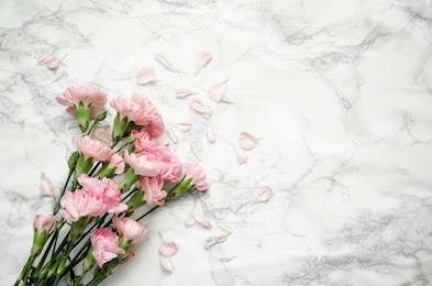 carnations flowers on a marble background