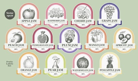 berry and fruit labels set. retro style design template. hand drawn vector illustrations.