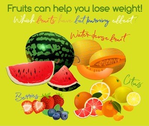 fruits that have fat burning effect - watermelons, melons, berries, lemons, oranges. healthy nutrition concept. vector illustration in bright colors.