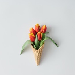 ice cream cone with tulip flowers. minimal spring concept. flat lay.