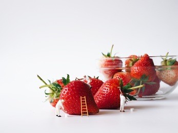 close up miniature people painting color on fresh strawberry over white background,copy space.