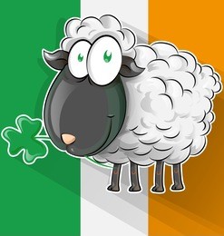 irish sheep cartoon on ireland flag